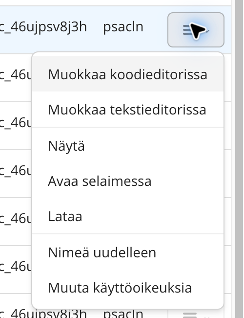 Tiedoston toimintovalikko: muokkaus, nimeäminen ja käyttöoikeudet